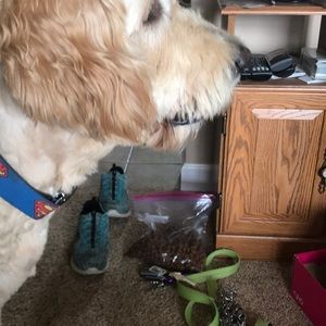 Meet your Posher, Jan